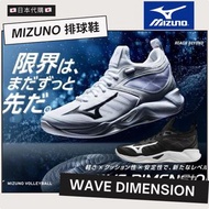 MIZUNO 美津濃 🏐️排球鞋 WAVE DIMENSION