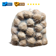 BAKSO IKAN / BASO IKAN SINAR BAHARI BANDUNG 1 Bal Bakso Jumbo Isi Tetelan / Cabe