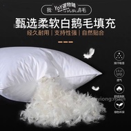 Immediate Shipping White Goose Feather Pillow Core Sofa Cushion Bag Down Neck Pillow Down Pillow Cor