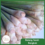 Sereh Bangkok 1kg / Sereh Wangi / Sereh Jumbo / serai / Sereh