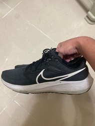 Nike pegasus 39