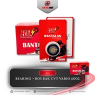 BEARING+BOS BAK CVT VARIO 6002 RUI - LAHAR CVT 6002 + YELLOW BOSS