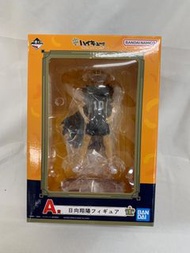 A賞 日向翔陽