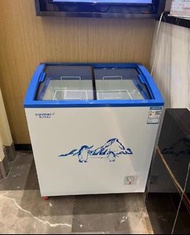 🌷冰櫃Freezer家用商用 🌷雪糕櫃 推拉門商用冰櫃 超市 包送貨 現貨#冰櫃#Freezer
