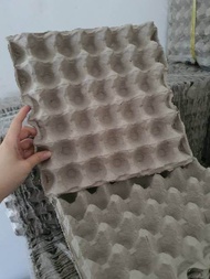 10 Egg Tray Karton Tempat Wadah Telur 30 Lubang Ayam Bebek