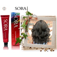 Dark Ash Blond 6/11 Sora Hair Color Dye