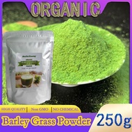 Organic Barley Grass Powder original 250g barley grass official store organic barley grass powder Rich in Immune Vitamin, Fibers, Minerals, Antioxidants and Protein