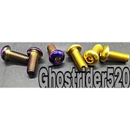 ABS DISC SCREW TITANIUM GOLD NVX NMAX XMAX