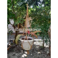 GANTUNGAN Rope Hanger Coconut Fiber Flower pot 70cm Orchid pot Hanger