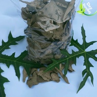 Ampo Sangray \ Ampo iris \ Tanah Liat kering