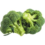 Biji Benih Brokoli (15 seeds ) / Broccoli Seed (vegetable seeds)