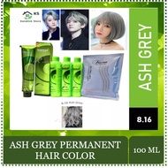 Bremod Hair Color Package (Ash Grey 8.16) Ash Gray Beauty Hair Care
