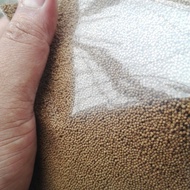 Makanan ikan laga ikan guppy