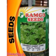 CORIANDER / WANSOY / KULANTRO / CILANTRO (250 GRAMS) BY RAMGO