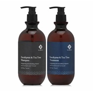 ELABORE Eucalyptus & Tea Tree Shampoo and Treatment <COOLING>