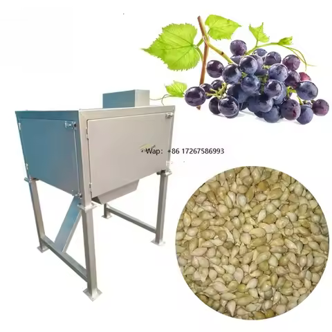 Industrial Grape Seed Separator Machine 2.5t/h Separation Machine for Grape Seed Fruit Seed Separato