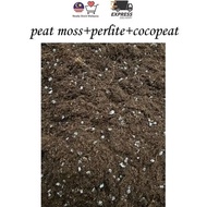 6L peat moss perlite cocopeat