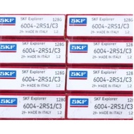 SKF plastic cap bearing 2RS1/C3 6200 6201 6202 6203 6204 6205 6206 6207