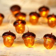 BOHON 3D Acorn Fall Decor Harvest String Lights Battery Powered with Remote and Timer 10ft 30 LEDs T