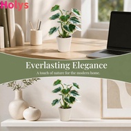 HOLYS evergreen foliage potted table ornament, Silk flowers plant bonsai washable artificial foliage
