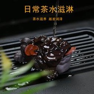 免運ISOMARINE輕奢紫砂金蟾招財擺件可養功夫