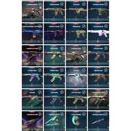 Val Account 53 Premiums Can Change Password and Email