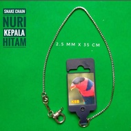 Parrot chain, stainless steel chain, KOSAMBI bird chain.PET