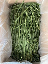 2023 Boutique Drying Wheatgrass/Orchard Grass Drying Grass Rabbit Totoro Guinea Pig Forage Wheat New Grass