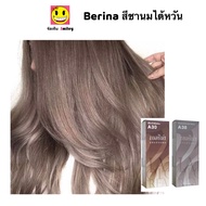 Berina สีเทาอ่อนประกายหม่น A21+A38  สีชานมไต้หวัน A30+A38 และอีกหลายเซ็ต สีผมเบอริน่า สีย้อมผม ครีมย้อมผม