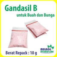 Pupuk Gandasil B Repack 10 gram / 10.000 mg pertanian aglaonema bunga buah tanaman daun merah hydroponik pot