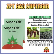 ZPT GA3 Super gib supergib