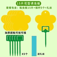 现货 花型诱虫板强力双面粘虫板小黑飞粘虫纸家用黄色果蝇诱虫板诱捕器Flower type trap board strong double-sided sticky insect board smal