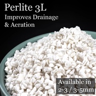 3L Perlite Potting Soil Mix for Indoor Plants, Succulents, Vegetables, Garden, Horticultural perlite for Soil