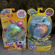 American Little Live Pets Baby Amphibious Two Play Swimming Crawling Electric Turtle Children's Toy 