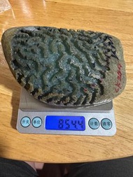 翡翠原石、己大面積開、整個料子全身不變種、看不到裂紋、有手鐲位、冰晴底、可以馬上做貨或收藏