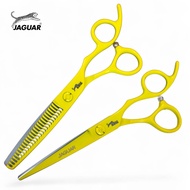 ถูก/แท้ Jaguar 1คู่ กรรไกรตัดผมจากัวร์ ขนาด6 นิ้ว (ซอย40%) สีเหลือง