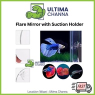 [Ready Stock] Aquarium Fish See-Through Flare Mirror with Suction Holder - betta fighting fish, flowerhorn, channa fish