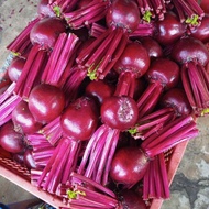 Buah Beetroot Segar 1Kg - Buah bit organik