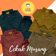 📣CLEARANCE SALE📣 Baju Melayu cotton budak lelaki cekak musang warna mustard gold, pink belacan, prus