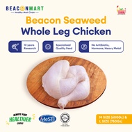 [Beacon Mart] HALAL Chicken Whole Leg Fresh Frozen | 2PCS | Ayam Seluruh Peha Paha Kaki 全鸡腿