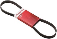 Roadpartner 1PR3-00-670 V-Ribbed Belt
