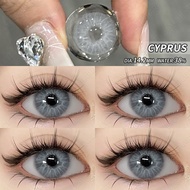 Eyeshare Contact Lens 1Pair CYPRUS Gray 14.2mm Brown Contact Lenses Comfortable Natural color Cute e