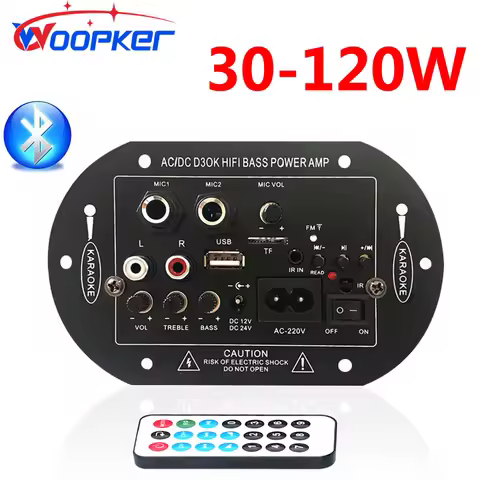 Woopker Bluetooth Audio Amplifier Board Subwoofer Compatible FM Radio 110V 220V 12V 24V Digital Amp 