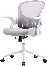 Home Office Chair Ergonomic Desk Chair Mesh Computer Chair Modern Height Adjustable Swivel Chair with Lumbar Support/Flip-up Arms, Grey