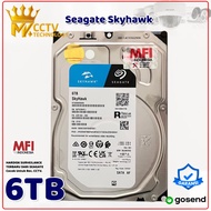 Seagate Skyhawk 6TB Internal HDD Hard Drive for CCTV Surveillance Hard Drive 4TB HDD 2TB MFI Warrant
