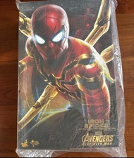 Hot Toys 1/6 Iron Spider mms482 復仇者聯盟：無限之戰