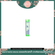 (พร้อมส่ง) ลดบวม เขียว ช้ำ Boiron Single Remedies Arnica Montana Pain Relief 30X 3 Tubes Approx 80 P
