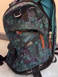 Gregory 藍花 26L