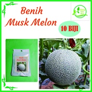 BENIH MUSK MELON ISI 10 BIJI