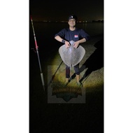 Custom Made Lipan Fishing Line Lipan Fishing Rig Custom Made Full Line Lipan Snook Lipan Fishing Rig